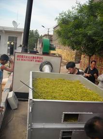 供应金银花烘干机
