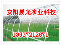 蔬菜大棚骨架机建设
