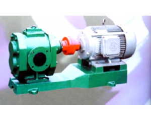 保温泵/保温齿轮泵/泊头保温泵厂家