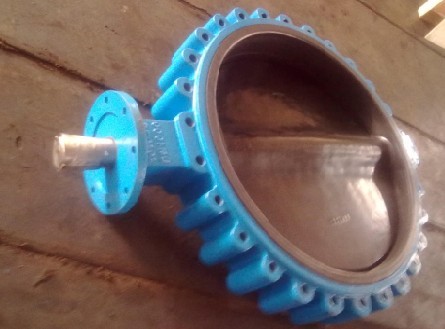 天津无销凸耳式蝶阀