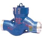 H61Y电站止回阀---上海玉机阀门